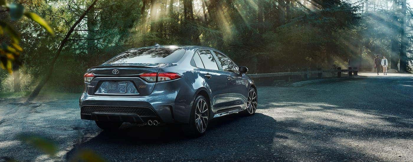 Grey 2020 Toyota Corolla XSE rear view while parked in a forrest