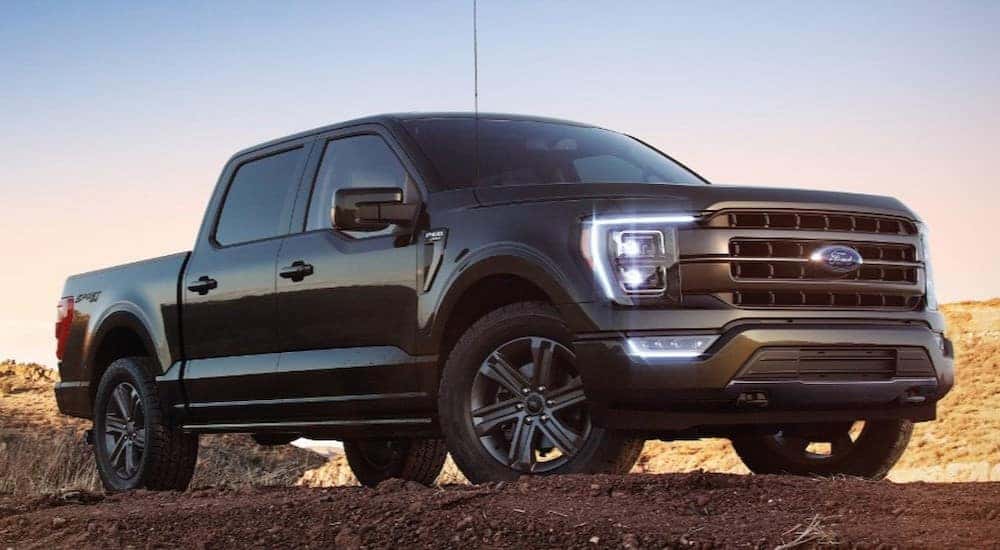 A black 2022 Ford F-150 XL-Sport parked on a dirt road.