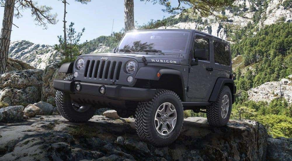 Grey 2017 Jeep Wrangler in the woods after looking at used Jeep Wranglers for sale in Knoxville