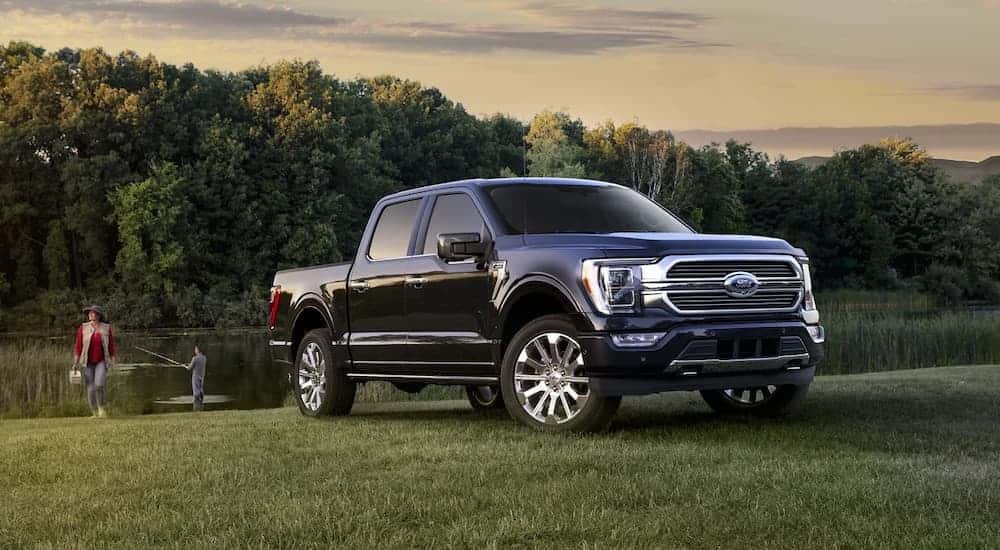 Black 2023 Ford F-150 parked on grass near a pond
