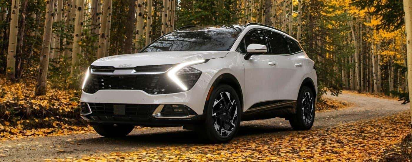 White 2023 Kia Sportage driving through a forest.
