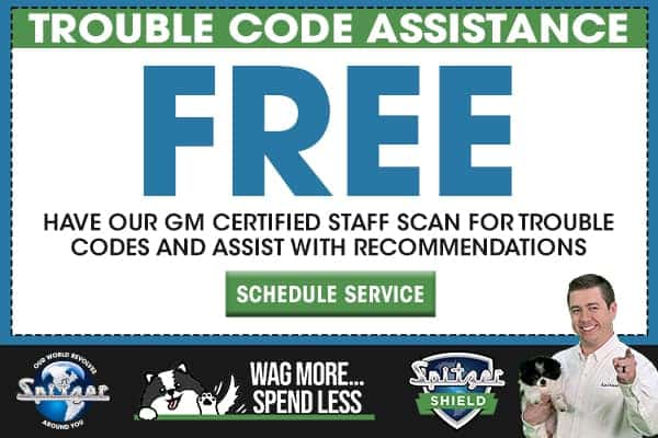 Free Trouble Code Assistance