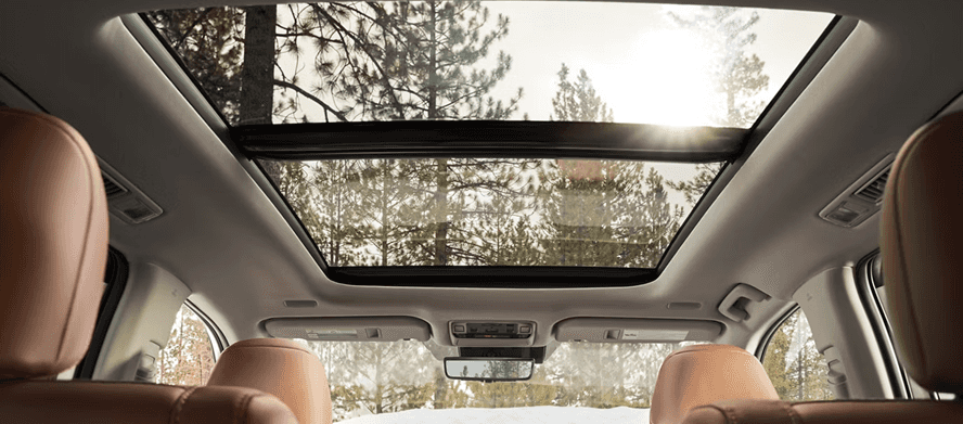 Panoramic Glass Roof