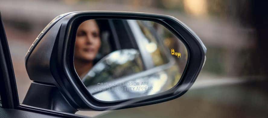 Blind Spot Monitor With Rear Cross-Traffic Alert