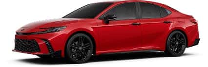 CAMRY Nightshade