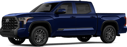 Tundra Platinum