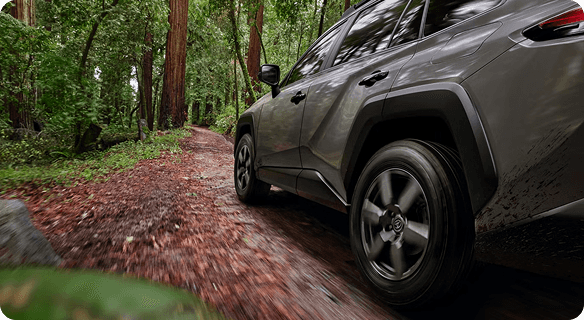 RAV4 Gallery 5