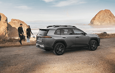 RAV4 banner