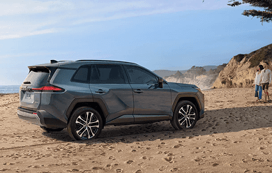 RAV4 banner