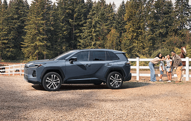 RAV4 banner