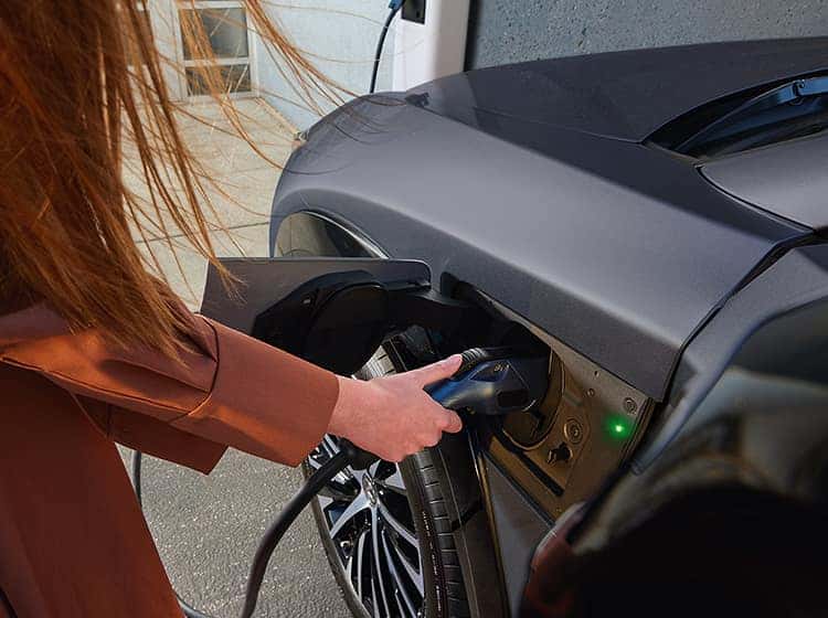 Find Your New Hybrid Lexus in Fort Pierce, FL