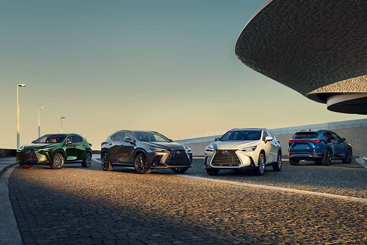 The 2025 Lexus NX Lineup: An Overview
